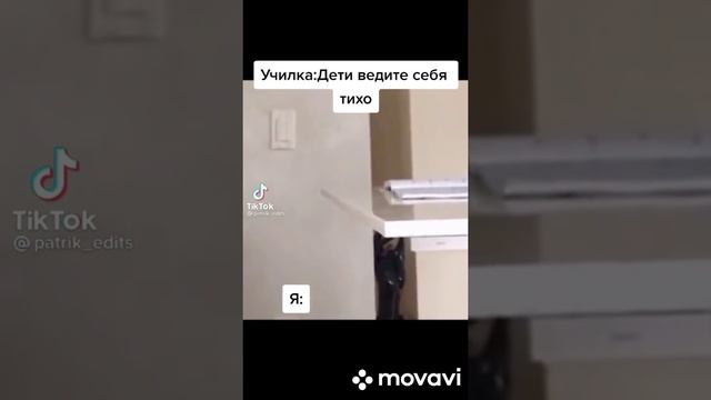 скажи кот тик наоборот | подборка видео из тик тока смотреть онлайн