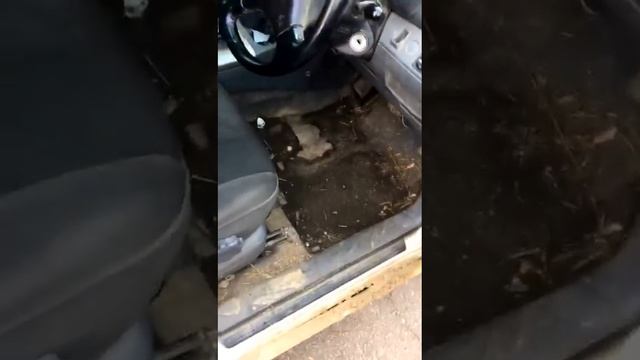 Rav 4 Случай на автомойке. Девушка пригнала на мойку свою машину, что было дальше смотрите сами. смотреть онлайн