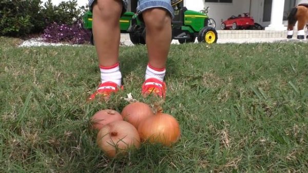 Roma Pretend Play with tractor and horse toy