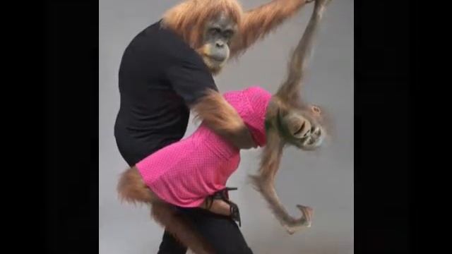 с Днем Рождения Наталья!!! смотреть онлайн