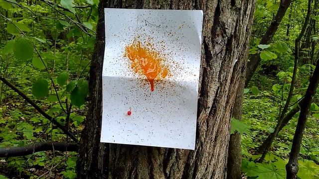 Отстрел БАМов УДАР-а М2 с истекшим сроком годности смотреть онлайн