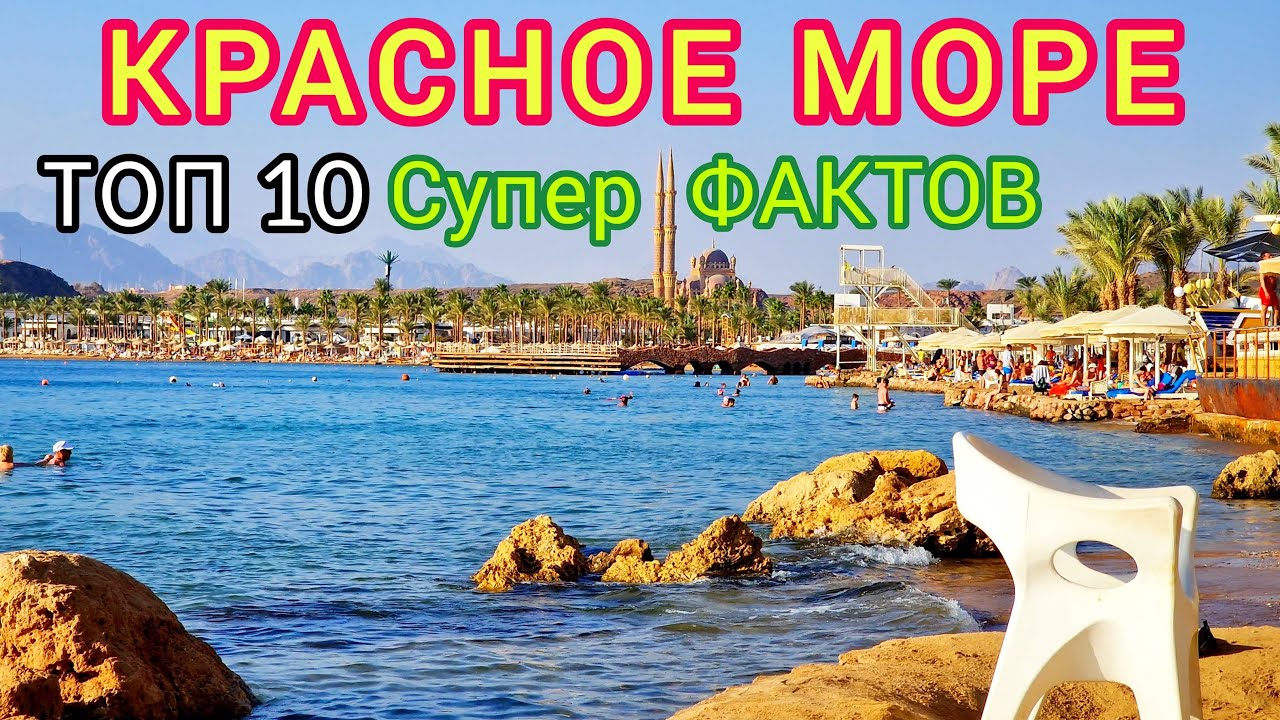 Феномен Красного моря: Опасности, Прелести, Тайны и Ужасы. Топ 10 Фактов о Красном море смотреть онлайн