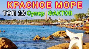 Феномен Красного моря: Опасности, Прелести, Тайны и Ужасы. Топ 10 Фактов о Красном море