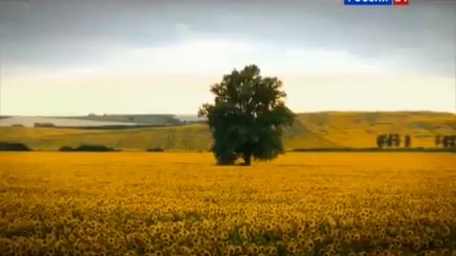 Проживи свою историю в Чехии! смотреть онлайн