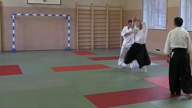 Тренировка по айкидо 31.07.2014 смотреть онлайн
