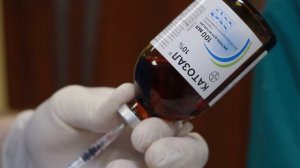 Как сделать укол попугаю