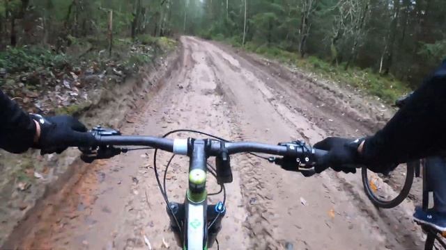 Велопокатушка - пограничные леса Западной Беларуси. смотреть онлайн