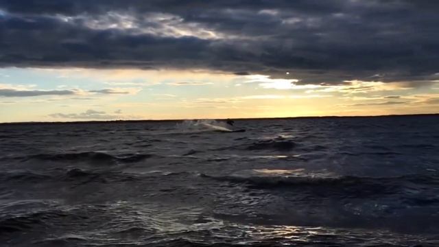 Жижицкое озеро закаты и кайтеры смотреть онлайн