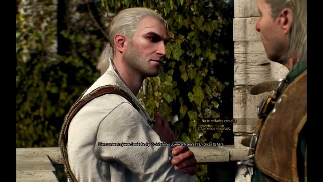 The Witcher 3 Wild Hunt - AMD R7 360 OC MSI смотреть онлайн