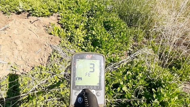 Коп на Волге//Эквинокс 800//Снова серебро смотреть онлайн