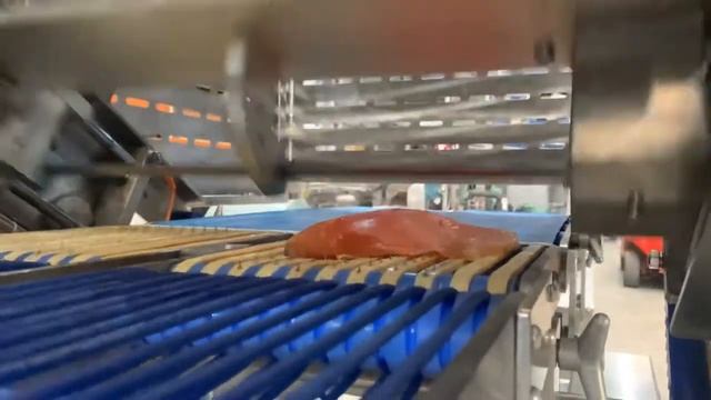 Testing Hiwell Slicer with salmon (рыба) смотреть онлайн
