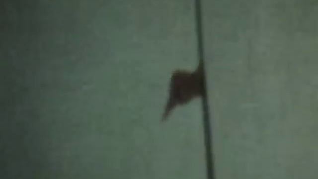 Набережные .Челны лагерь 