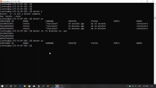 73. Embedded DNS! Ping containers by name in the same network || Docker, From Zero To Hero смотреть онлайн