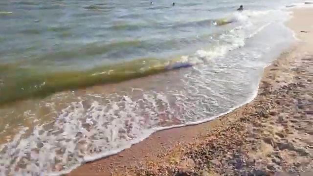 СТАНИЦА ДОЛЖАНСКАЯ. КОСА ДОЛГАЯ. АЗОВСКОЕ МОРЕ 2019. ОТДЫХ НА МОРЕ. смотреть онлайн