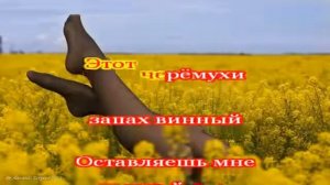 Караоке   Аллегрова   Кому Какая Разница 360p