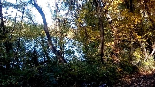 Поездка на водоём Кордон 23.10.2018 смотреть онлайн