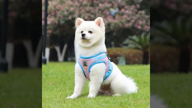 Каталог AliEx