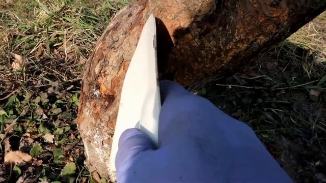 На ДАЧУ | Такая ПОБЕЛКА лучшее решения для ваших деревьев | Чем укрыть розы на зиму смотреть онлайн