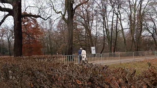 Берлин. Прогулка. Парк в Рождество. смотреть онлайн