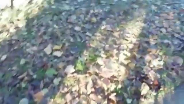 распаковка поворотники для моей колясочной машины смотреть онлайн