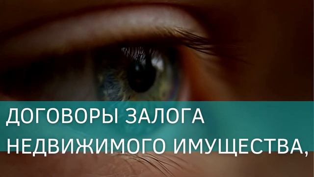 Договоры в сфере недвижимости смотреть онлайн