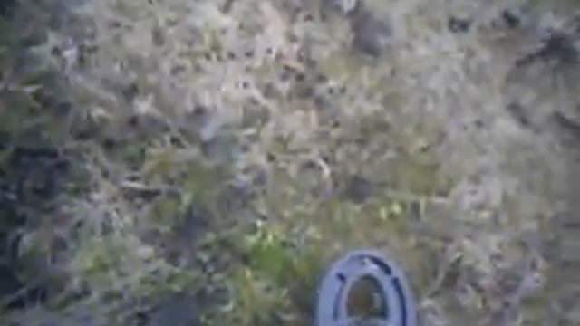 копка металлоискатель garrett ACE 250 смотреть онлайн