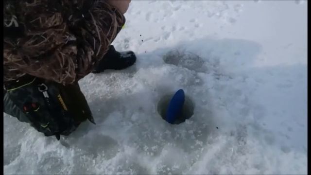 Бешеный клев на платном водоеме!!! смотреть онлайн