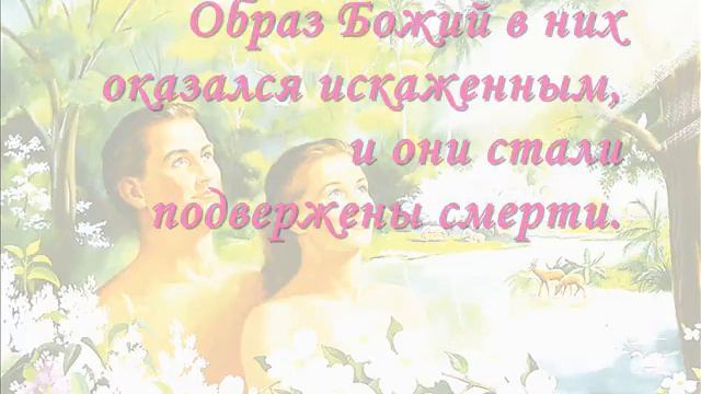 7. Природа человека