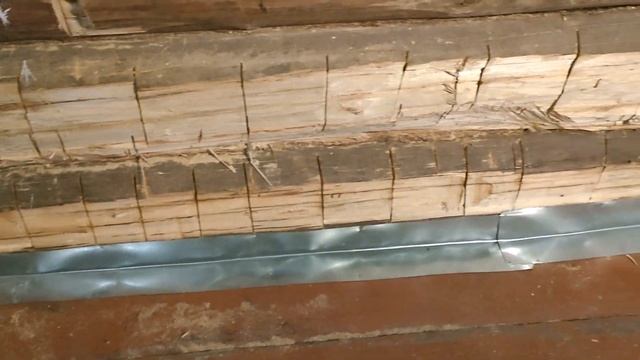 Ремонт сеней продолжается: ровняем стену, подводим воду, защищаемся от мышей. Иван-чай. Июнь 2023 смотреть онлайн