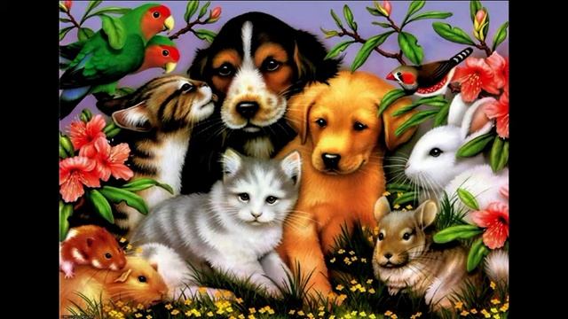 День защиты животных в г.Челябинске 2012 год смотреть онлайн