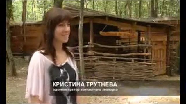 kontaktnyj zoopark смотреть онлайн