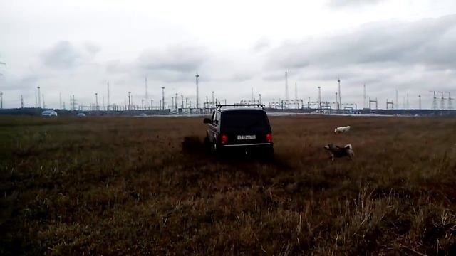 НИВА РУЛИТ ПО ПОЛЮ!!! смотреть онлайн