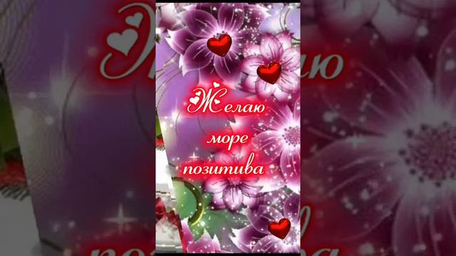 Лови мой утренний привет! Желаю счастливого дня!