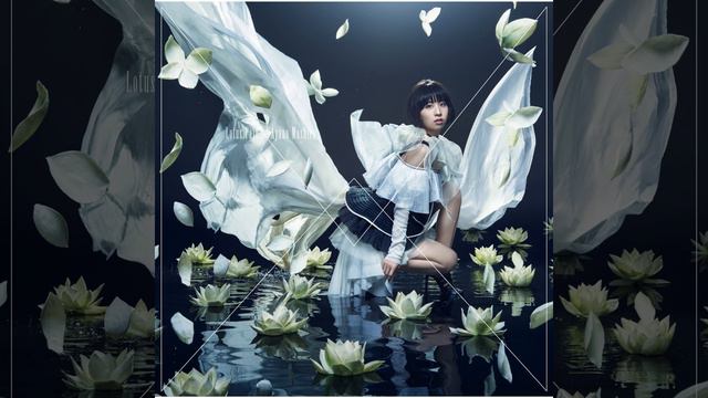 Lotus Pain