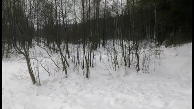 Как правильно выбрать тюбинг(ватрушку,таблетку...)и выжить на ней :) смотреть онлайн