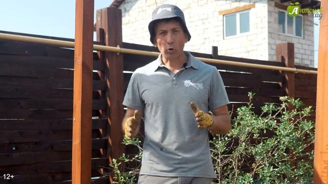 Анимационные Короткометражки