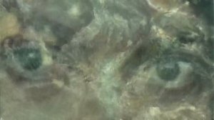 Для медитации. Фрэнки шоу избранное