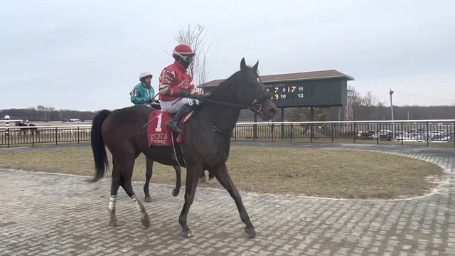 Nik Juarez rides MD Bred Monster Mason to win at Parx Racing смотреть онлайн