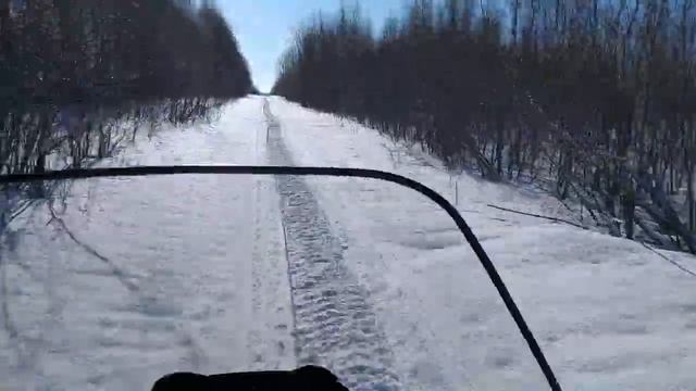 Витязь в движении 4 смотреть онлайн