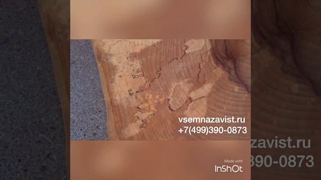 Спил дерева, спил березовый шлифованный