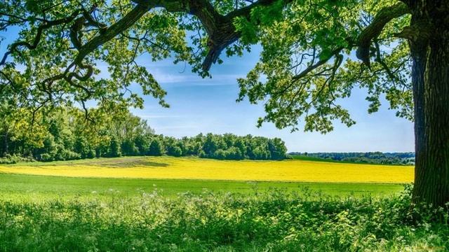 Мои сны. Про имена готовых и неготовых. смотреть онлайн