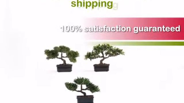12 inch Bonsai Collection (Set of 3) - artificialplantsandtrees.com смотреть онлайн