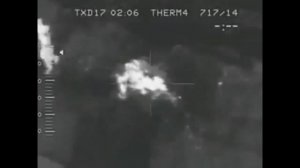 СТРАШНЫЕ МУТАНТЫ ЗАСНЯТЫЕ В ЧЕРНОБЫЛЕ