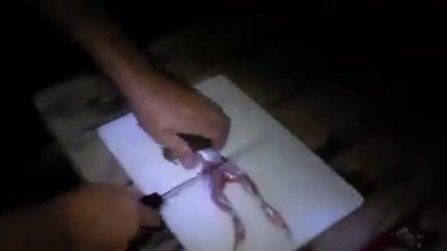 Посмотреть как они едят и Вы тоже хотите хотите такие вещи есть смотреть онлайн