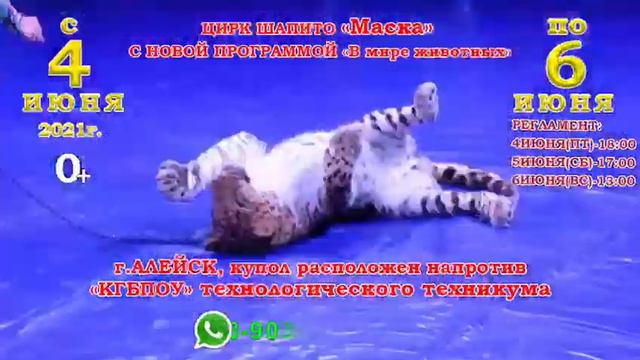 Цирк шапито "Маска" В Алейске смотреть онлайн