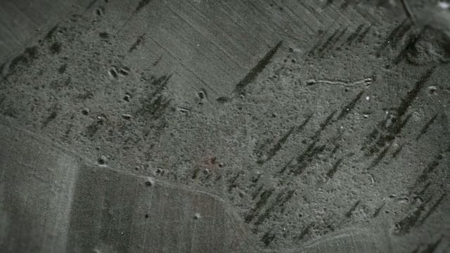 Деятельность милиции по сохранению исторической памяти смотреть онлайн