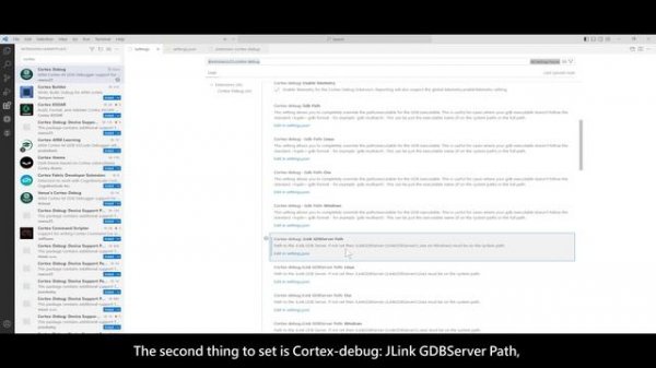 Vscode + Embedded IDE + Cortex-Debug to develop APM32