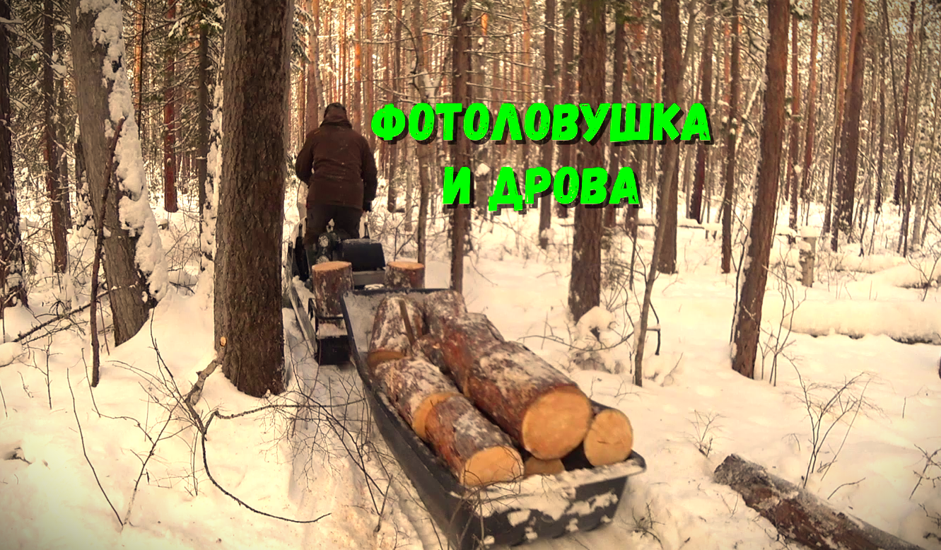 ФОТОЛОВУШКА НА ХИТРОГО СОБОЛЯ!!! ДРОВА НА ЗИМОВЬЕ. смотреть онлайн