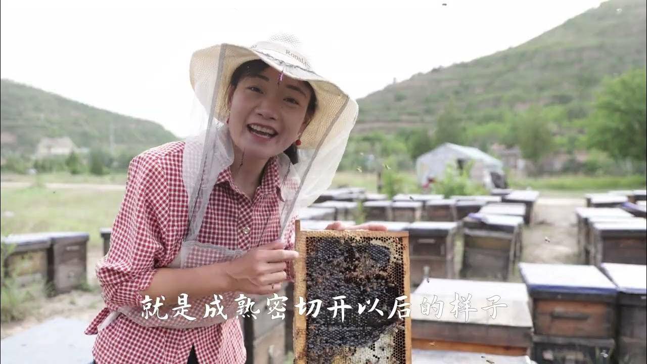 我为什么不卖蜂巢蜜？因为不想骗大家吃致癌物！ смотреть онлайн