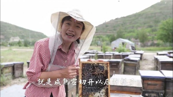 我为什么不卖蜂巢蜜？因为不想骗大家吃致癌物！